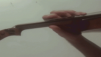 GIF Falange optimizado